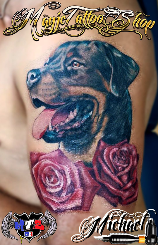 Haz todo con mi poder Poner la mesa Alas Rottweiler entre rosas - Tatuajes Online - Portal de tatuajes y tatuadores  en España